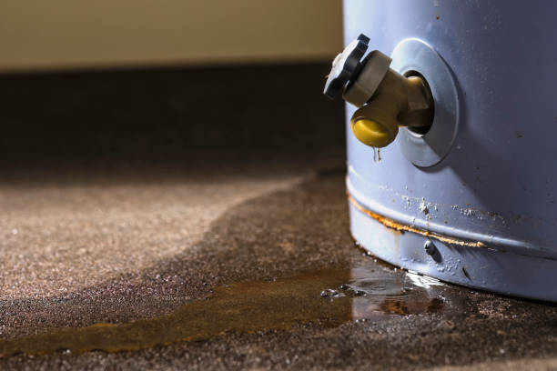 Local water damage restoration in IA