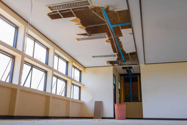 Best Flooded house restoration  in Park View, IA