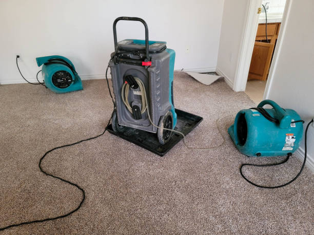 Best Water damage restoration near me  in Park View, IA