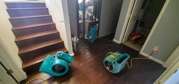 Best Professional water damage repair  in Park View, IA