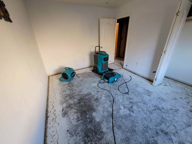 Best Water damage restoration process  in Park View, IA