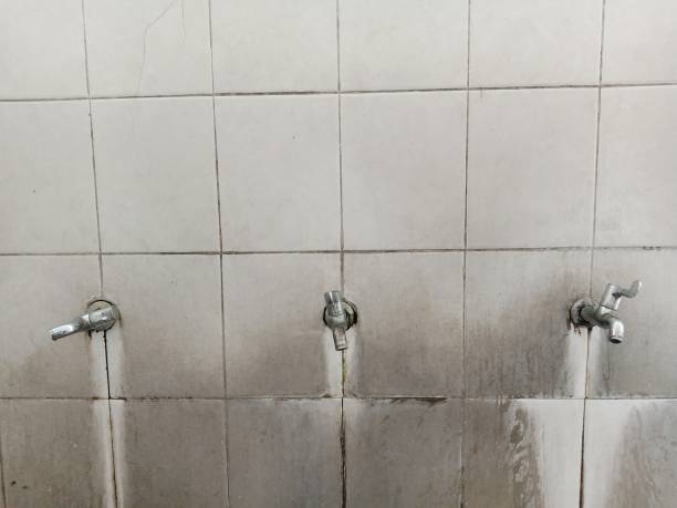 Best Water damage mitigation services  in Park View, IA