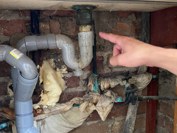 Best Mold removal after water damage  in Park View, IA
