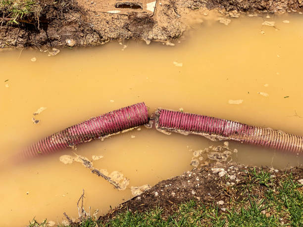 Best Flood damage cleanup  in Park View, IA