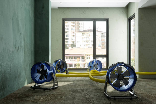 Best Water damage contractors near me  in Park View, IA