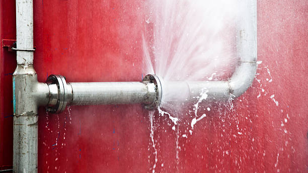 Best Water damage restoration mold remediation  in Park View, IA