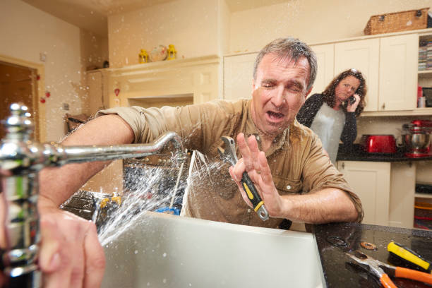 Best Water damage restoration near me  in Park View, IA